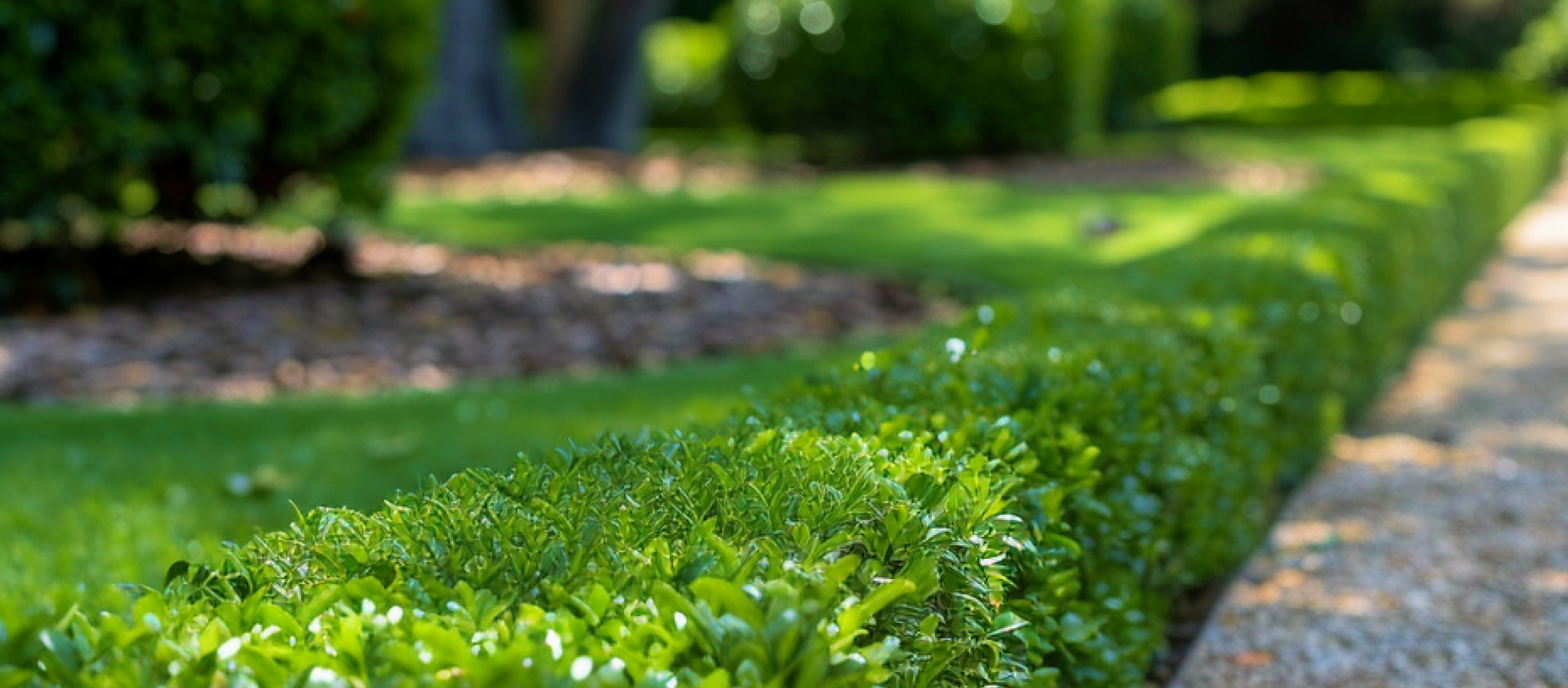 Best Time of Year to Landscape in Southwest Ohio