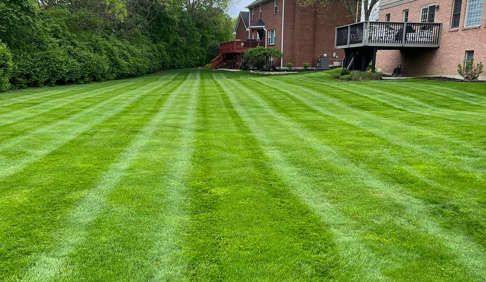 How to Choose a Lawn Care Company in Warren County, Ohio